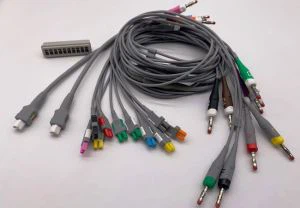 Chuối chì EKG 12-LD